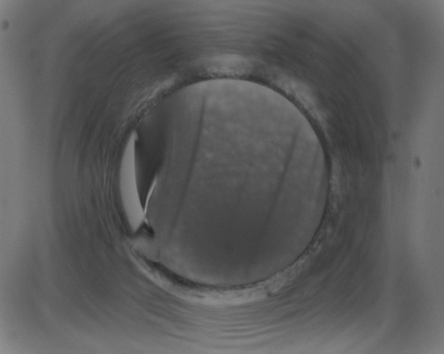 X0000087410017200705181409