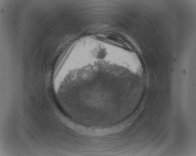 X0000087410018200705181409