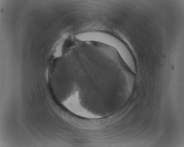 X0000087410019200705181409