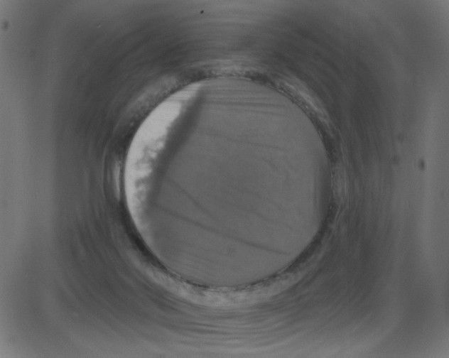 X0000087410022200705181409