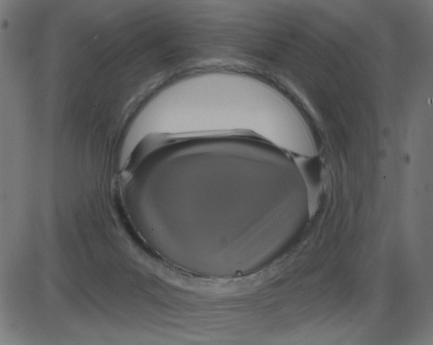 X0000087410023200705181409