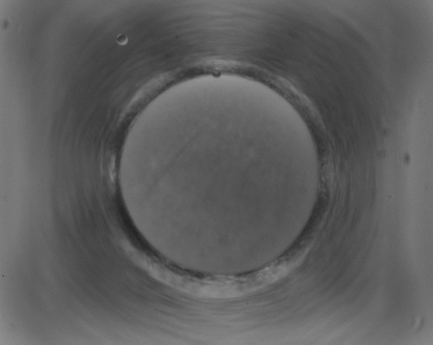 X0000087410024200705181409