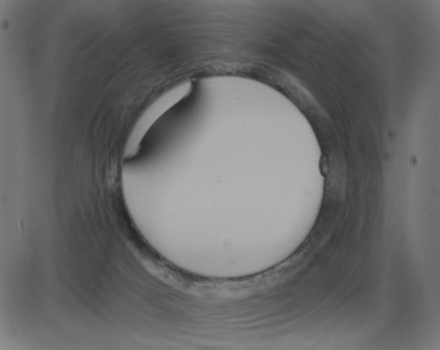 X0000087410025200705181409