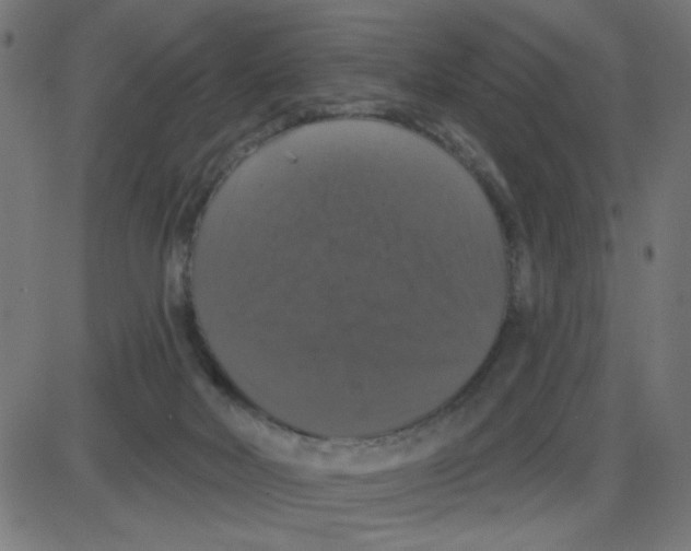 X0000087410026200705181409