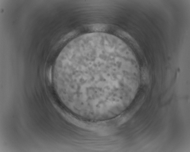 X0000087410028200705181409