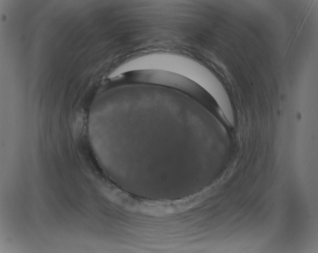 X0000087410029200705181409