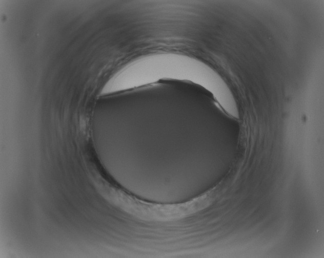 X0000087410031200705181409