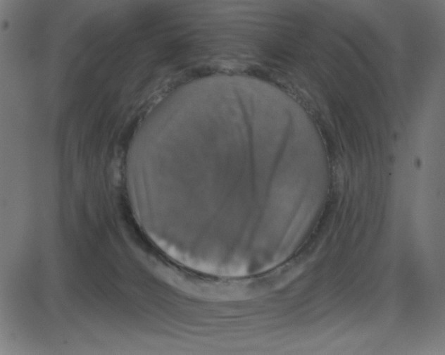 X0000087410032200705181409