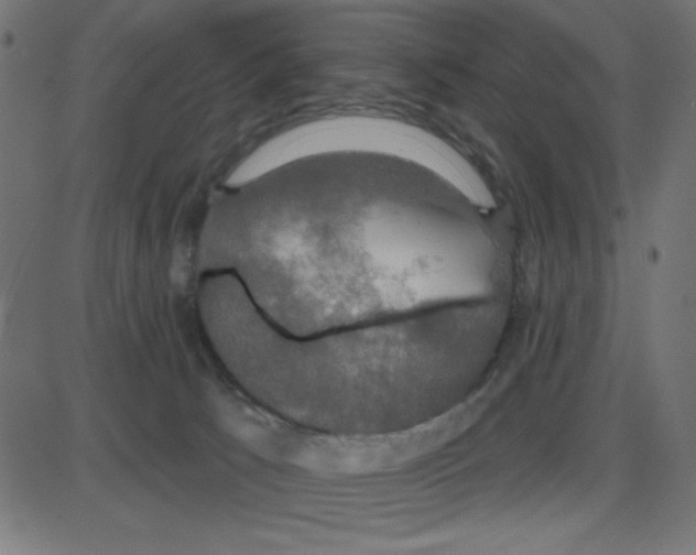 X0000087410033200705181409