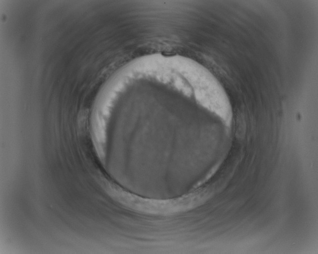 X0000087410034200705181409