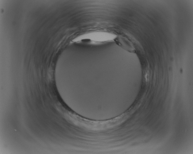 X0000087410035200705181408