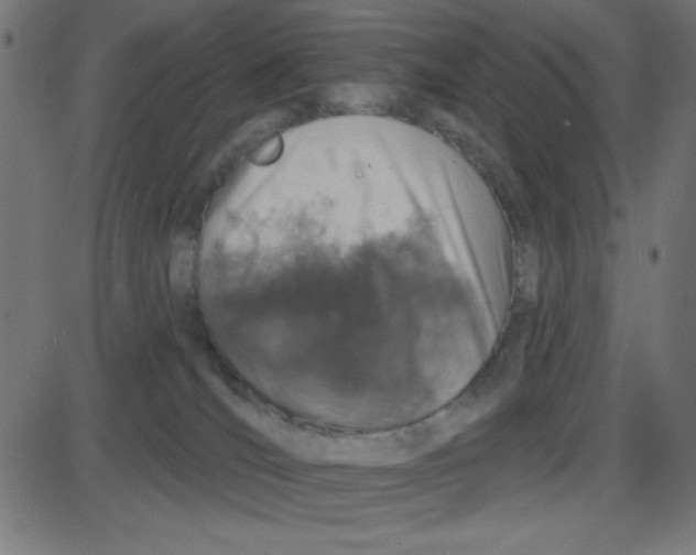 X0000087410036200705181408