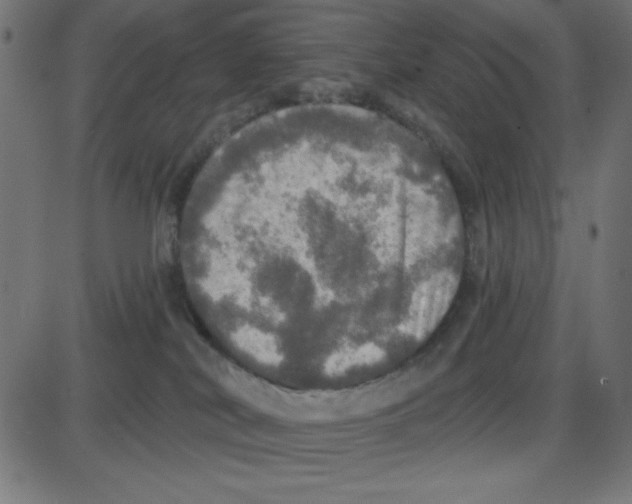 X0000087410038200705181408