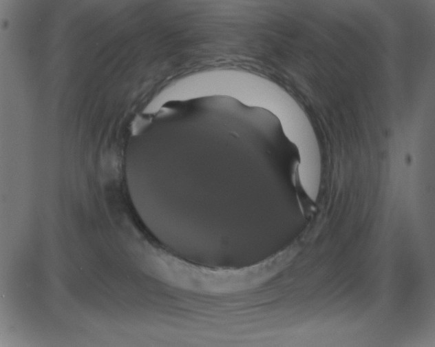 X0000087410039200705181408