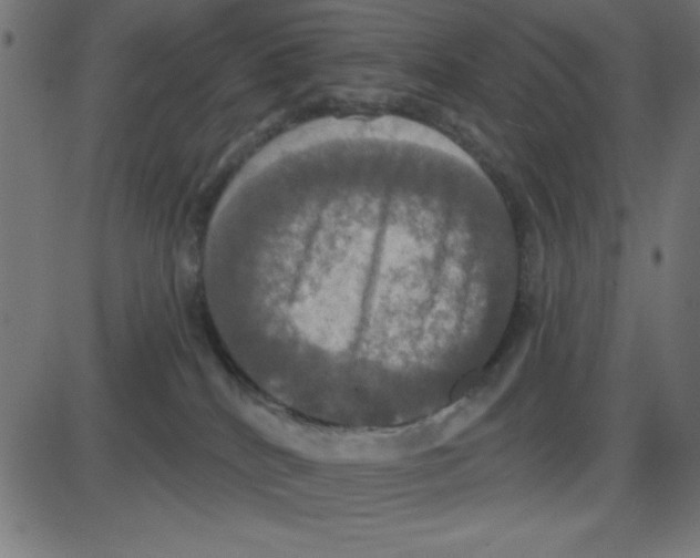 X0000087410040200705181408