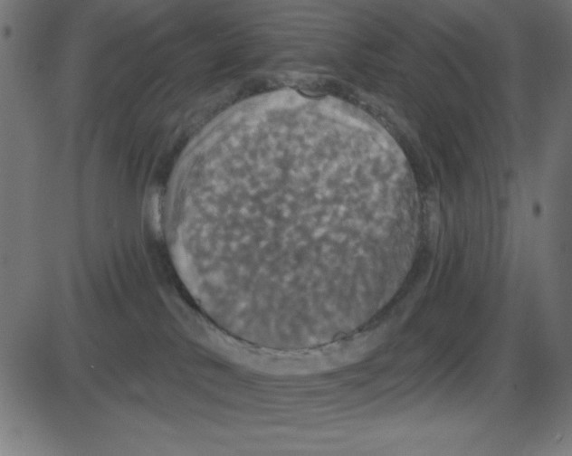 X0000087410042200705181408