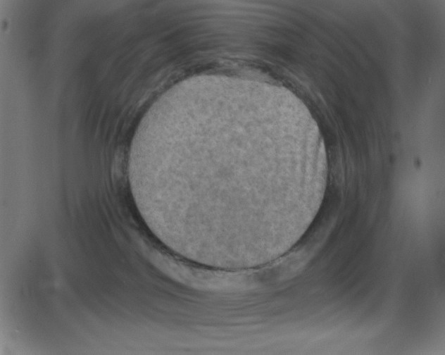 X0000087410044200705181408