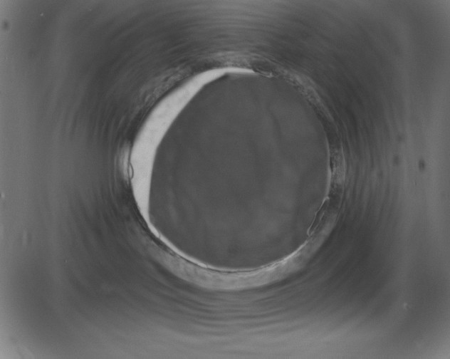 X0000087410047200705181408