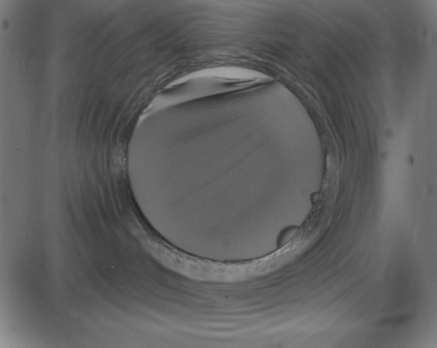 X0000087410048200705181408