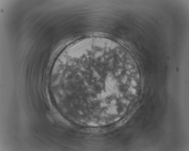 X0000087410049200705181408