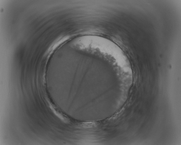 X0000087410050200705181408