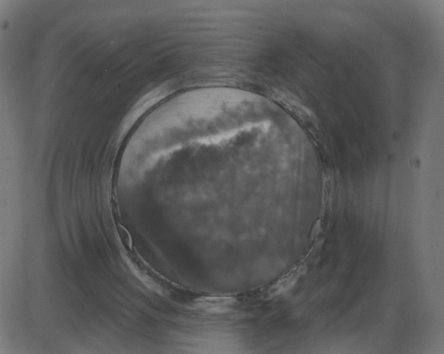 X0000087410051200705181408