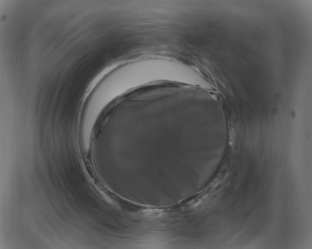 X0000087410052200705181408