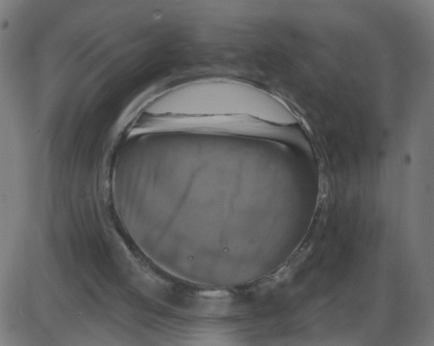 X0000087410053200705181408