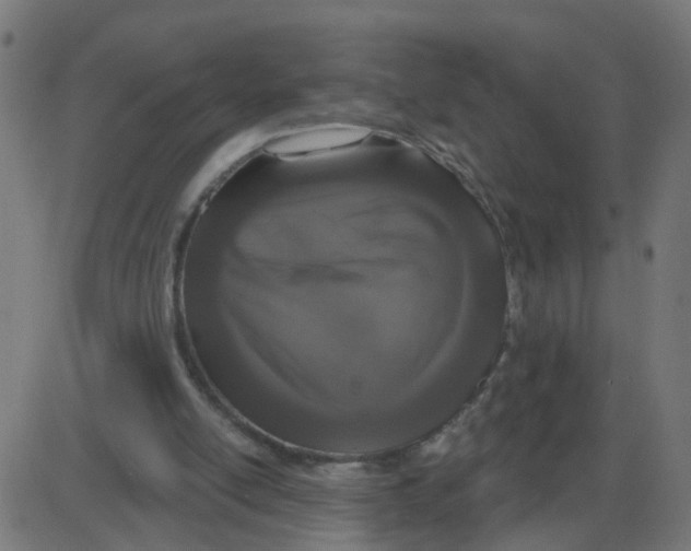 X0000087410054200705181408