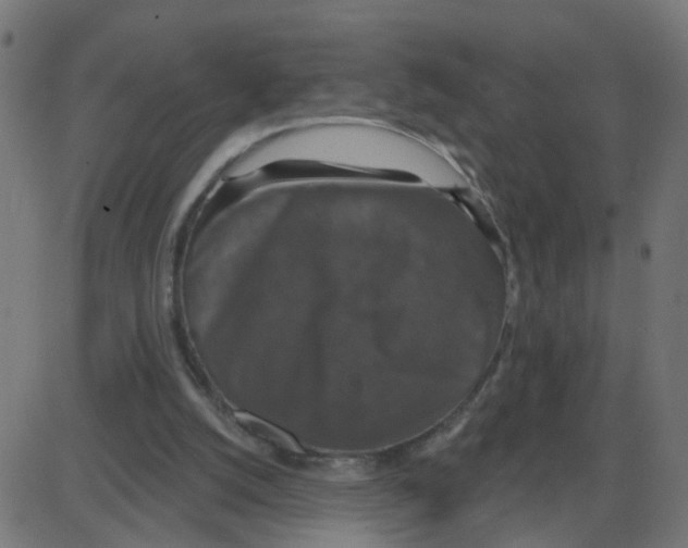 X0000087410056200705181408