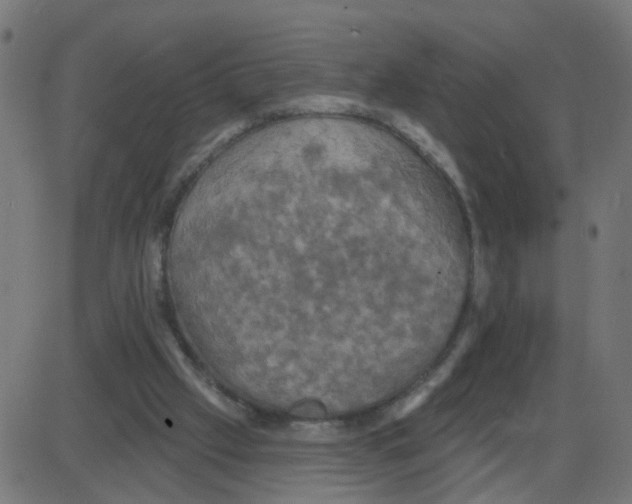 X0000087410057200705181408