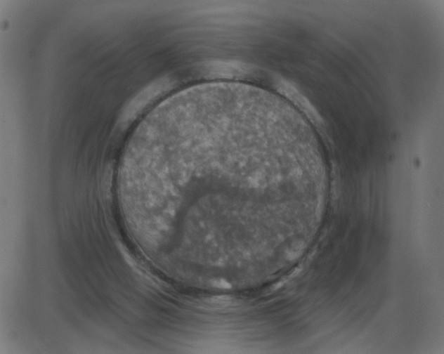 X0000087410058200705181408