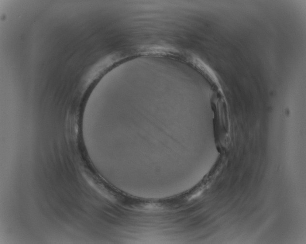 X0000087410059200705181408