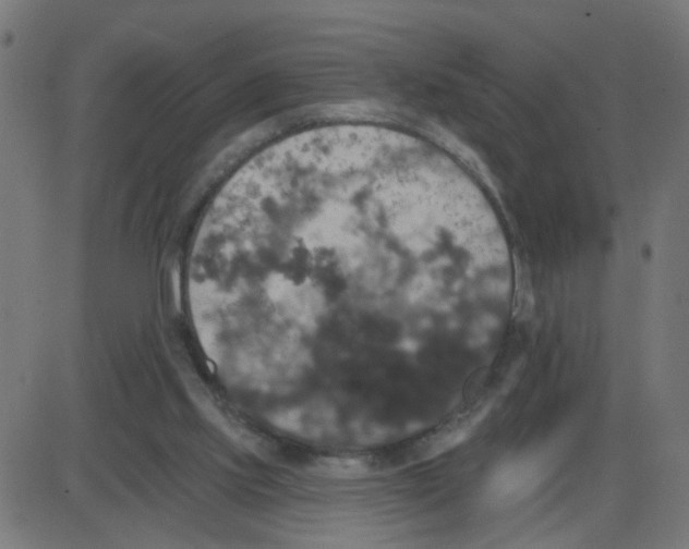 X0000087410061200705181408