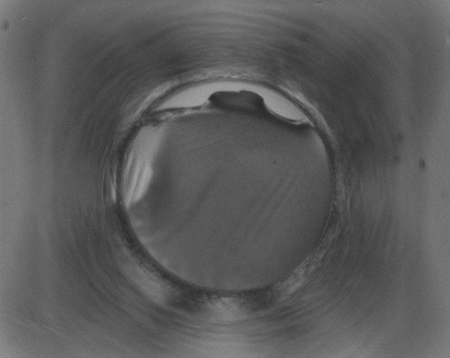 X0000087410062200705181408