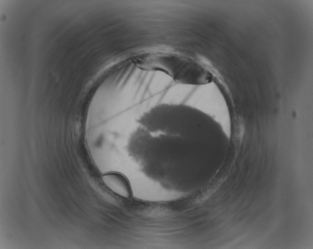 X0000087410063200705181408