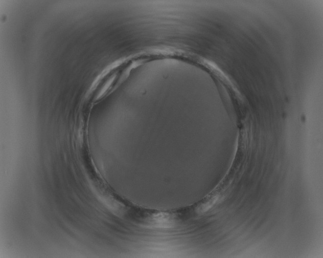 X0000087410064200705181408