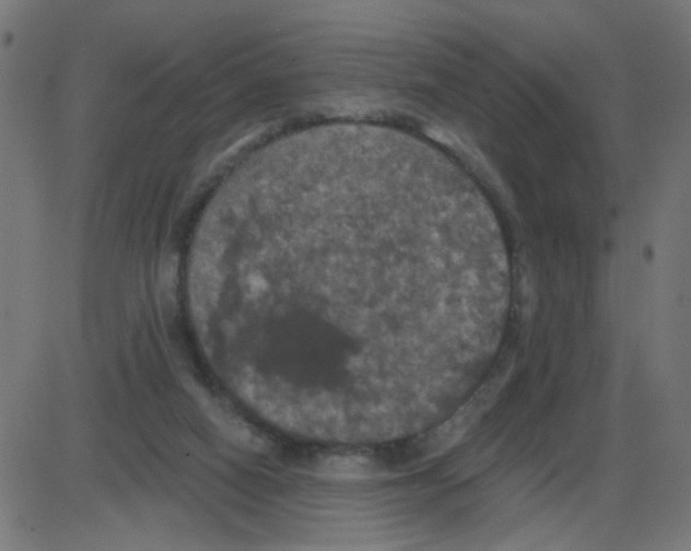 X0000087410066200705181408