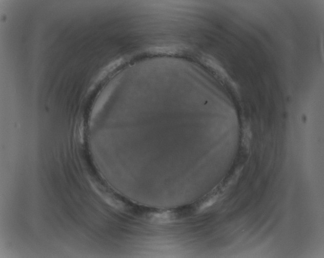 X0000087410068200705181408