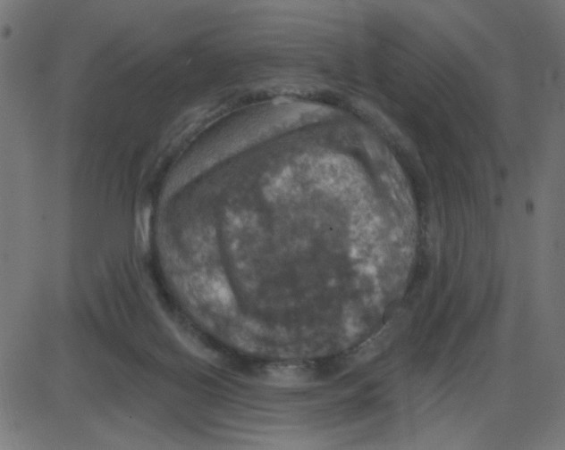 X0000087410070200705181408