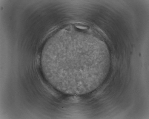 X0000087410071200705181408