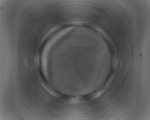 X0000087410072200705181408