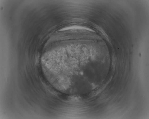 X0000087410073200705181408