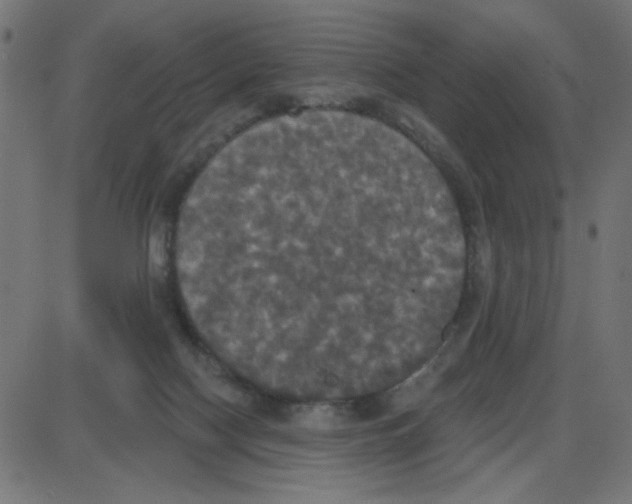 X0000087410074200705181408