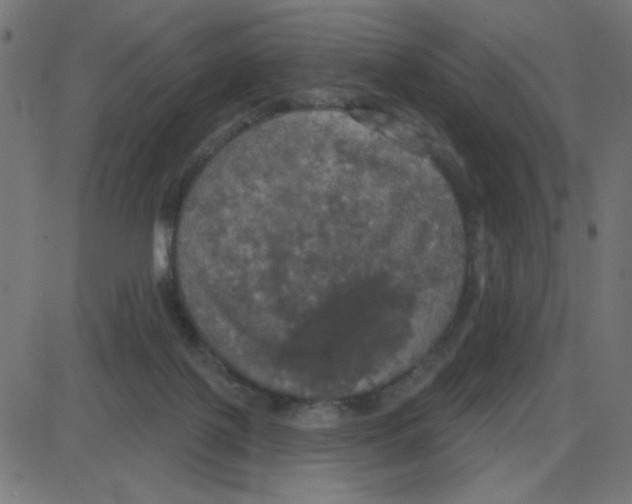 X0000087410075200705181408