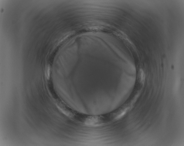 X0000087410076200705181408