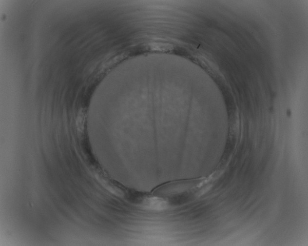 X0000087410078200705181408