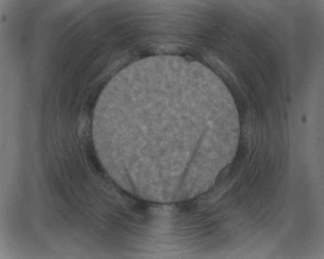 X0000087410079200705181408