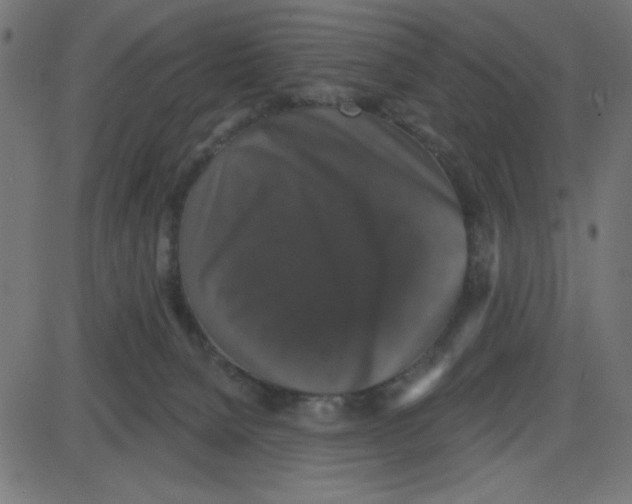 X0000087410080200705181408