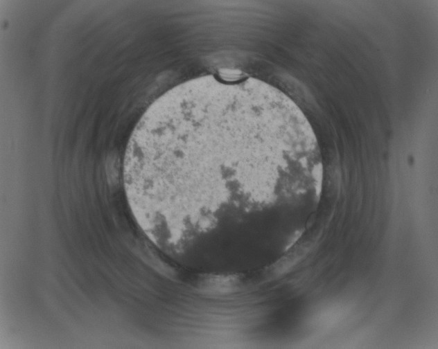 X0000087410081200705181408